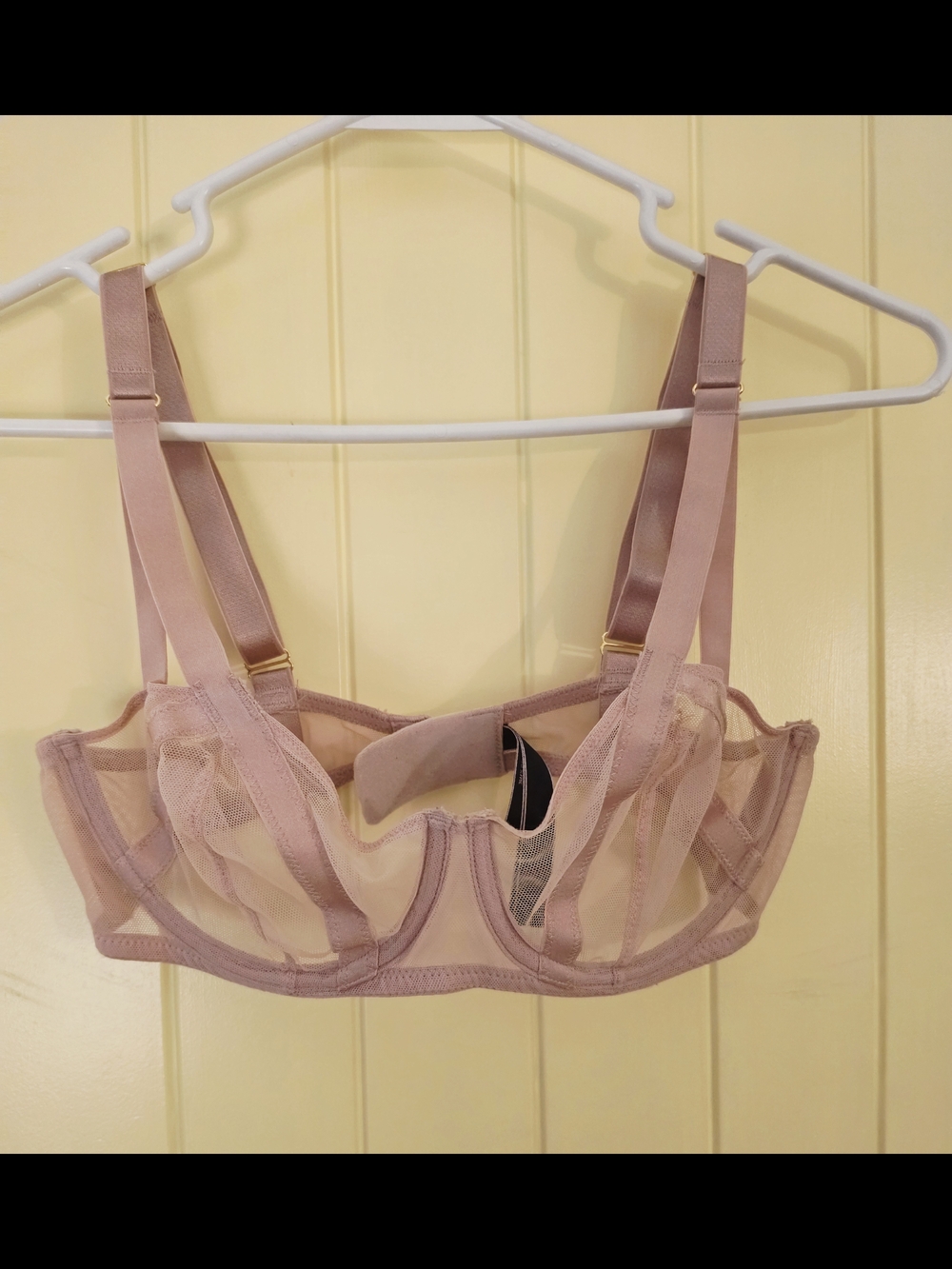 Victoria's Secret Sheer Underwire Bra in Blush Pink